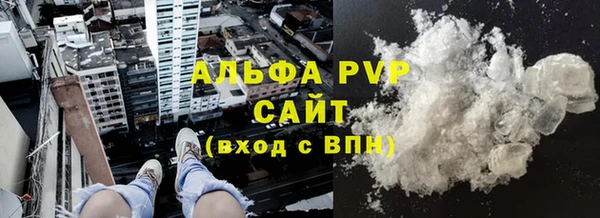 прущие грибы Баксан