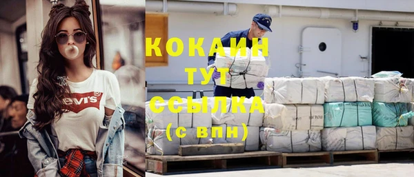 прущие грибы Баксан