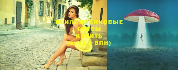 прущие грибы Баксан