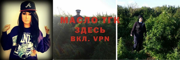 прущие грибы Баксан