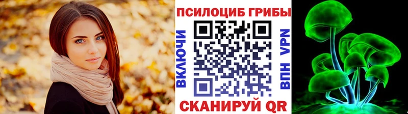 Галлюциногенные грибы Psilocybine cubensis Нерюнгри